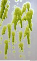 paint splatter green 0048